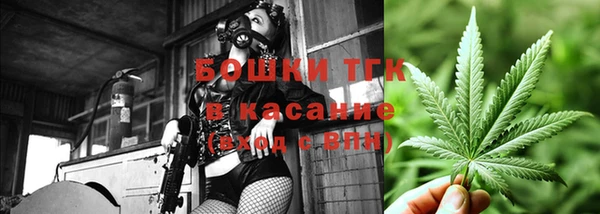 сатива Михайловск