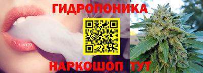 гидра Заводоуковск