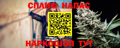 гидра Заводоуковск