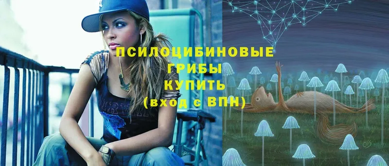 Псилоцибиновые грибы Magic Shrooms  МЕГА   Киров  купить закладку 