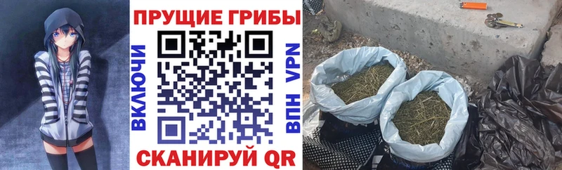 Галлюциногенные грибы GOLDEN TEACHER  купить наркотик  Киров 