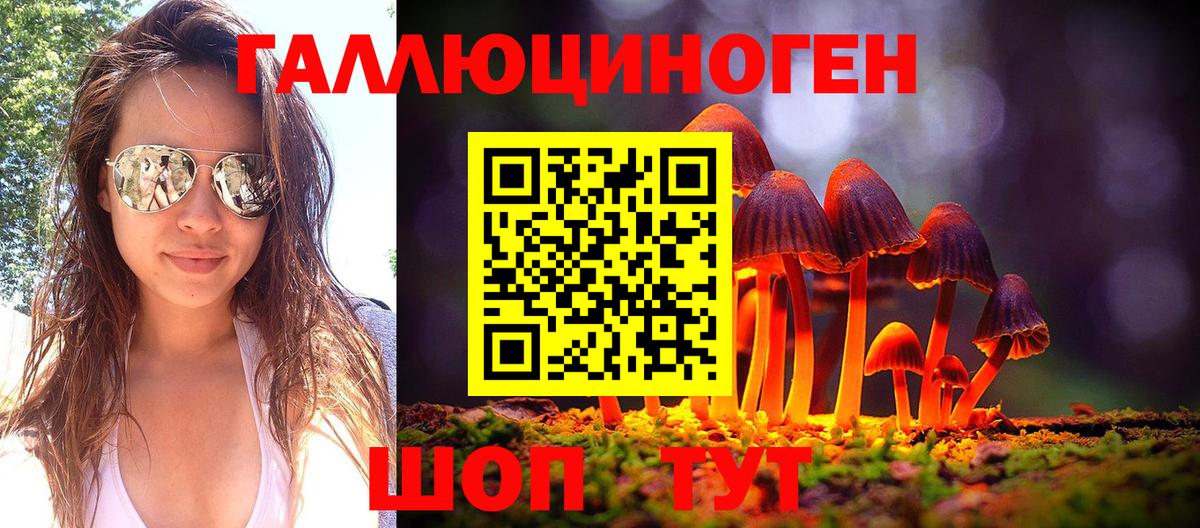 Псилоцибиновые грибы мицелий  Псилоцибиновые грибы Psilocybe  наркошоп  Киров  Вход с VPN 